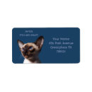 Buscar cat etiquetas Kitty