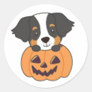 Buscar bern pegatinas Amante del perro