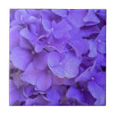 Buscar lavanda floral azulejos Lila
