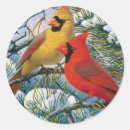 Buscar cardenal rojo pegatinas Clásico