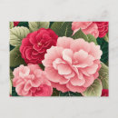 Buscar begonia postales Vintage
