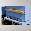 Buscar apicultura posters Insecto