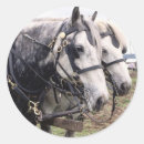 Buscar tirón pegatinas Caballo