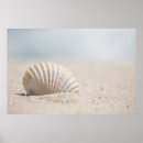 Buscar copia posters Horizontal