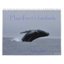 Buscar ballenas calendarios Fauna