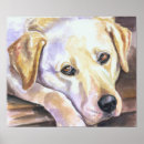 Buscar pintura de labrador posters Cachorro