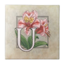 Buscar cartas azulejos Alfabeto