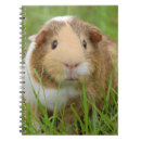 Buscar criador cuadernos Adorable
