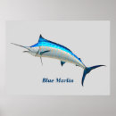Buscar peces posters General y unisex