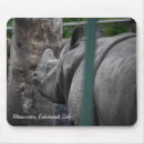 Buscar rinoceronte fotografía Animales