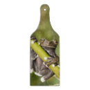 Buscar cautivo Naturaleza