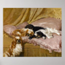 Buscar perro juguete posters Vintage