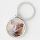 Buscar ojo redondeados llaveros Gatito