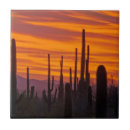 Buscar luminoso azulejos Negro