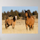 Buscar archer posters Rancho