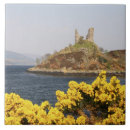 Buscar wright posavasos Nadie