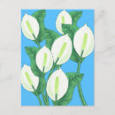 Buscar longevidad postales Floral