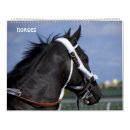 Buscar del caballo calendarios Silla de montar