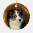 Buscar collie decoracion Para ella