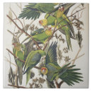 Buscar birds azulejos Aves