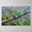 Buscar cochecito posters General y unisex