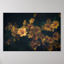 Buscar bokeh posters Fotografía