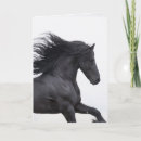 Buscar caballo frisio tarjetas Caballos