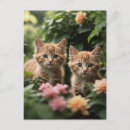 Buscar gatitos postales Para ella