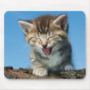 Buscar risa alfombrillas de raton Gatito