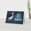 Buscar egrets Aves