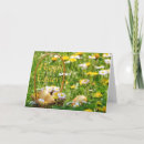Buscar cesta tarjetas de pascua Hermoso