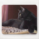 Buscar pelo negro alfombrillas de raton Felino