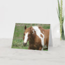 Buscar tobiano tarjetas Caballo de pintura