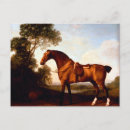 Buscar silla de ruedas postales Hermoso