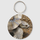 Buscar lente llaveros Fotografía