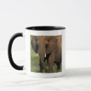 Buscar africa tazas Elefante