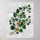 Buscar verdura posters Cosecha