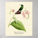 Buscar pájaro rosado posters General y unisex