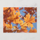 Buscar fuera de servicio postales Clientes