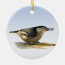 Buscar blanco breasted Navidad