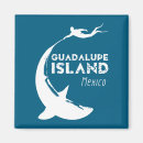 Buscar isla imanes México