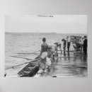 Buscar rowing posters Equipo