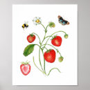 Buscar planta de fresa posters Vintage