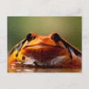 Buscar naturaleza postales Pintar