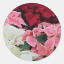 Buscar pintura blanca pegatinas Floral