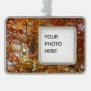 Buscar ramas adornos General y unisex