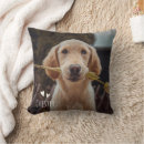 Buscar animal lindo cojines Para ella