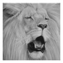 Buscar leones blancos posters Animales salvajes