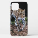 Buscar caminando iphone fundas Naturaleza