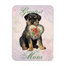 Buscar rottweiler imanes Rollo